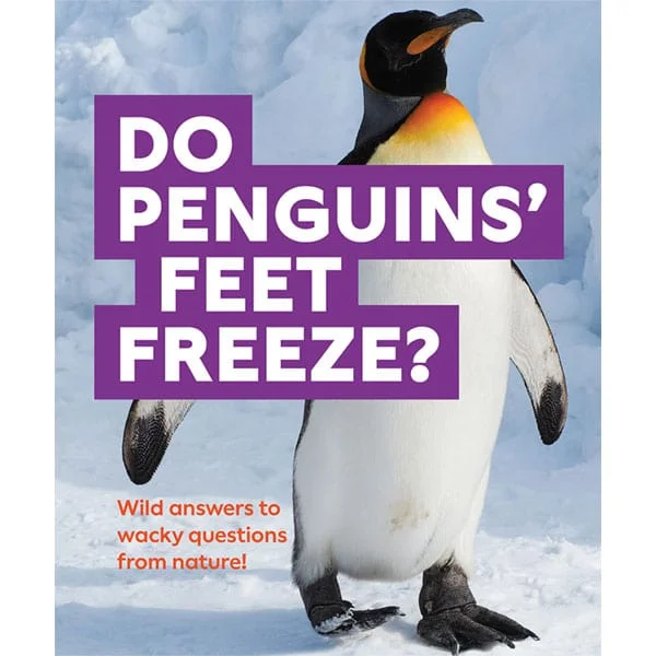 Solid Wood Educational Toys with a Math - Problem - Solving ChallengeDo Penguins' Feet Freeze?