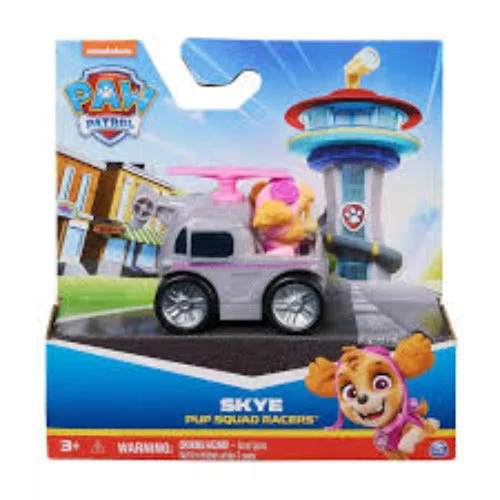 Solid Wood Educational Toys with a Science Experiment Theme for Young LearnersPaw Patrol Pup squad Racer skye